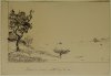 1930 ca. - Paesaggio con alberi a sinistra